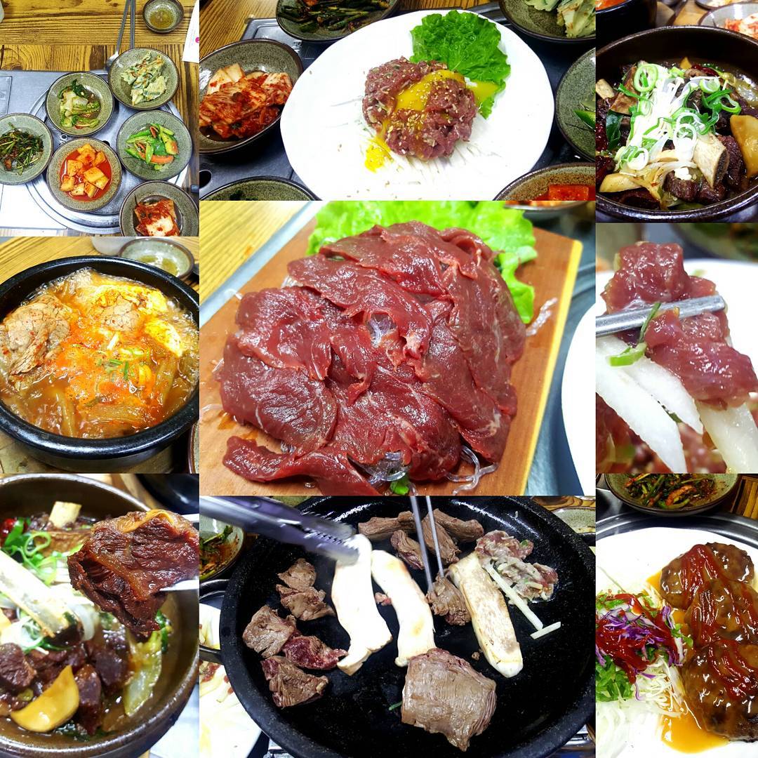 닥마루가든 - 제주, 모슬포 대정 한경면 마라도 | 맛집검색 식신