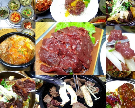닥마루가든 , 제주특별자치도 제주시 중산간서로 3700 
