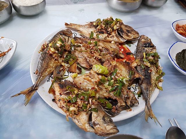 서브1