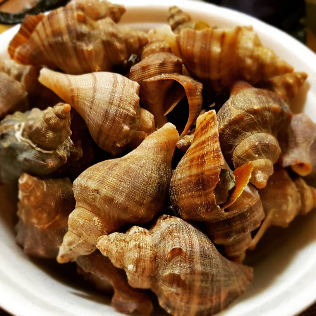 출처 : 인스타그램