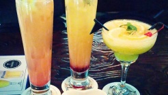 란카하우스 매장 이미지