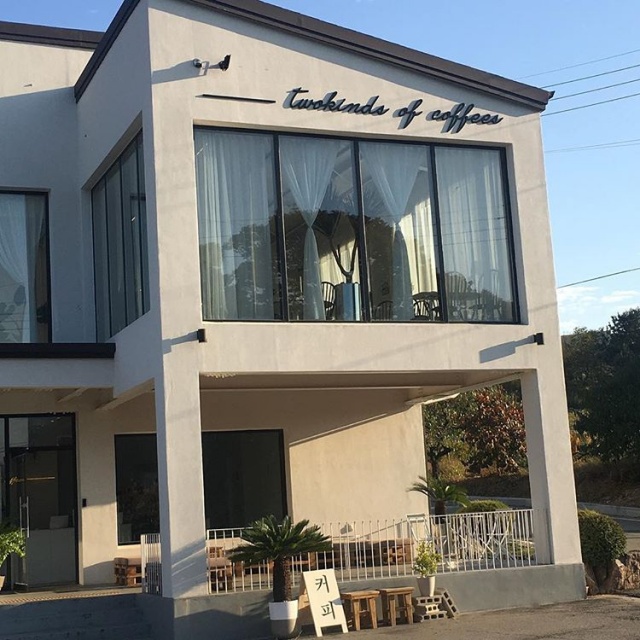 투카인즈오브커피|맛집, 카페/디저트맛집