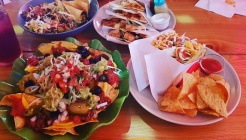 도스타코스 매장 이미지