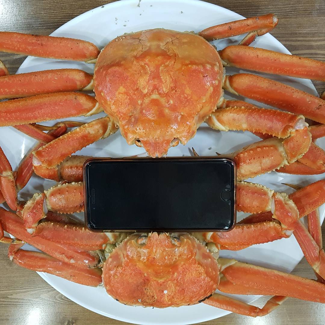 시장대게회식당 - 경북, 영덕 | 맛집검색 식신
