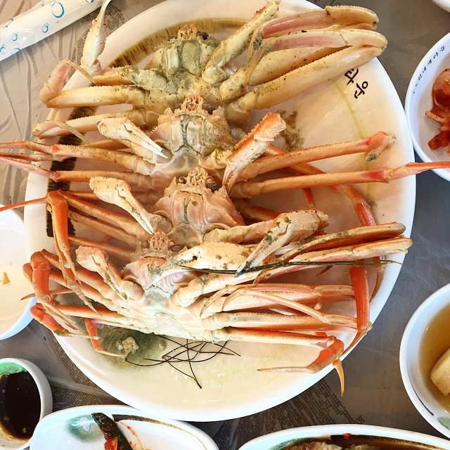 죽도회대게타운 - 경북, 포항 | 맛집검색 식신