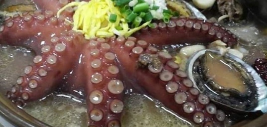 은행나무