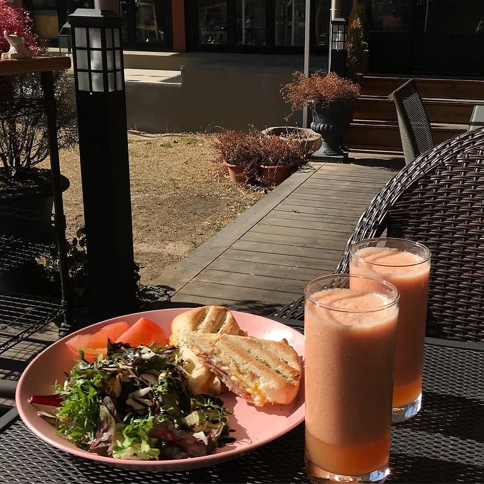 출처 : 라미아에밀리 인스타그램 검색 결과