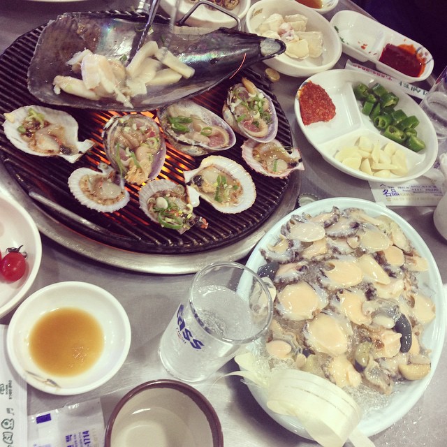 출처 : 다도해회센타 인스타그램 검색 결과