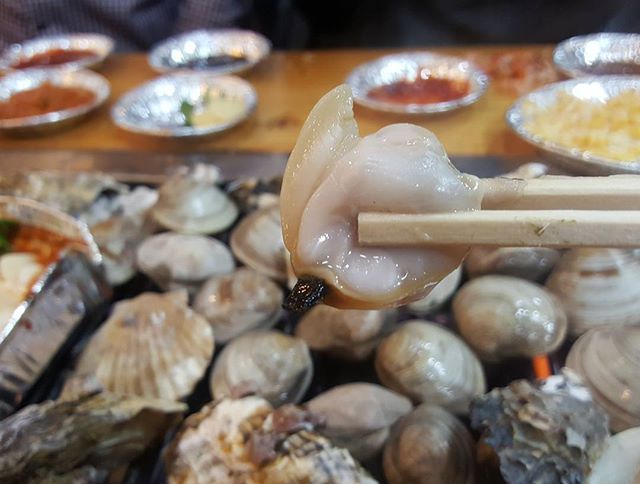 마니마니조개구이 - 충남, 보령 | 맛집검색 식신