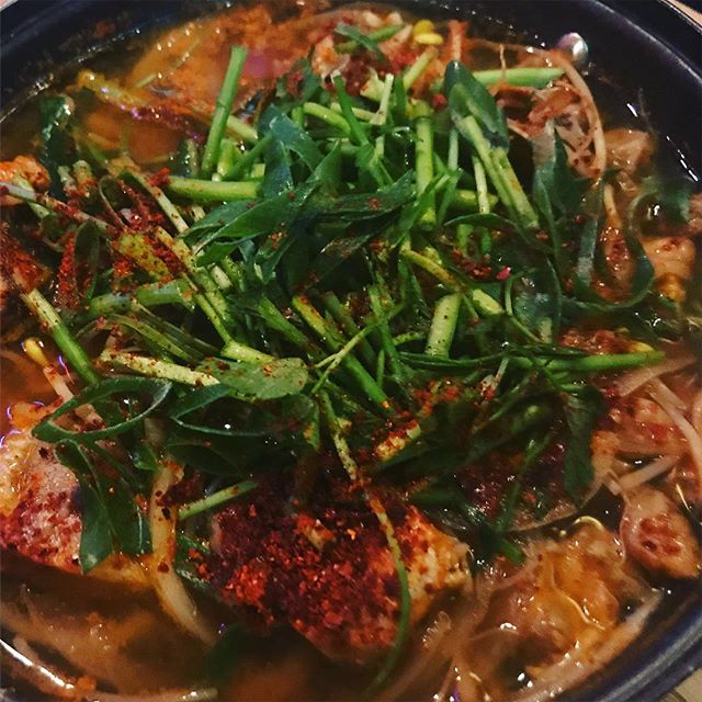 출처 : 보광 브라더스 인스타그램 검색 결과