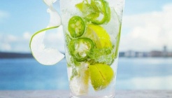 Tree Bar 매장 이미지