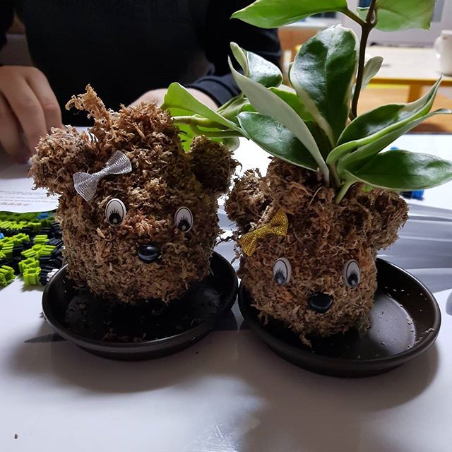 출처 : 드림뜰힐링팜 인스타그램 검색 결과