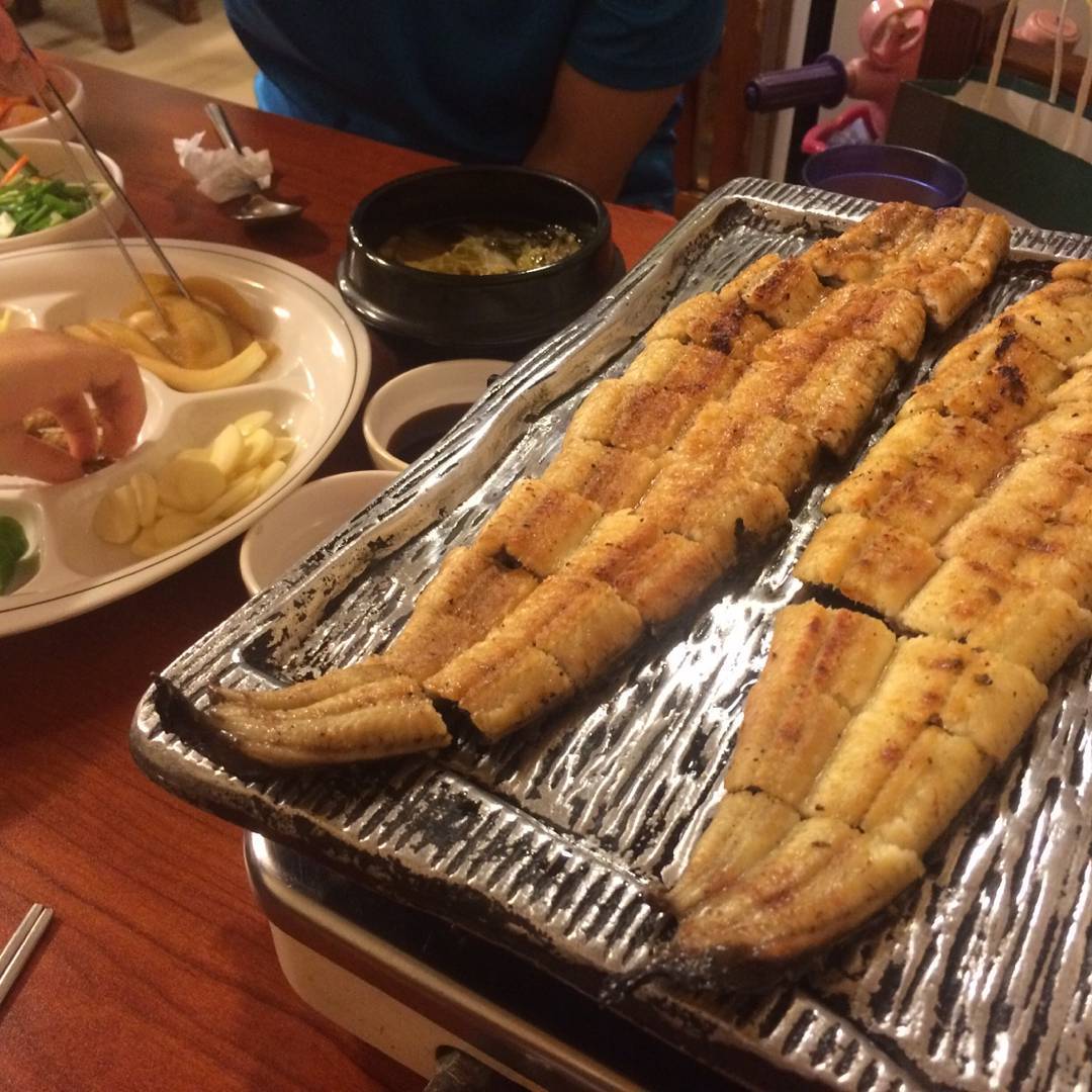 출처 : 고향풍천장어 인스타그램 검색 결과