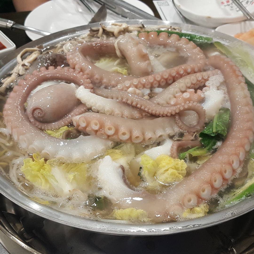 출처 : 장흥낙지 인스타그램 검색 결과
