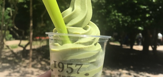 대한다원