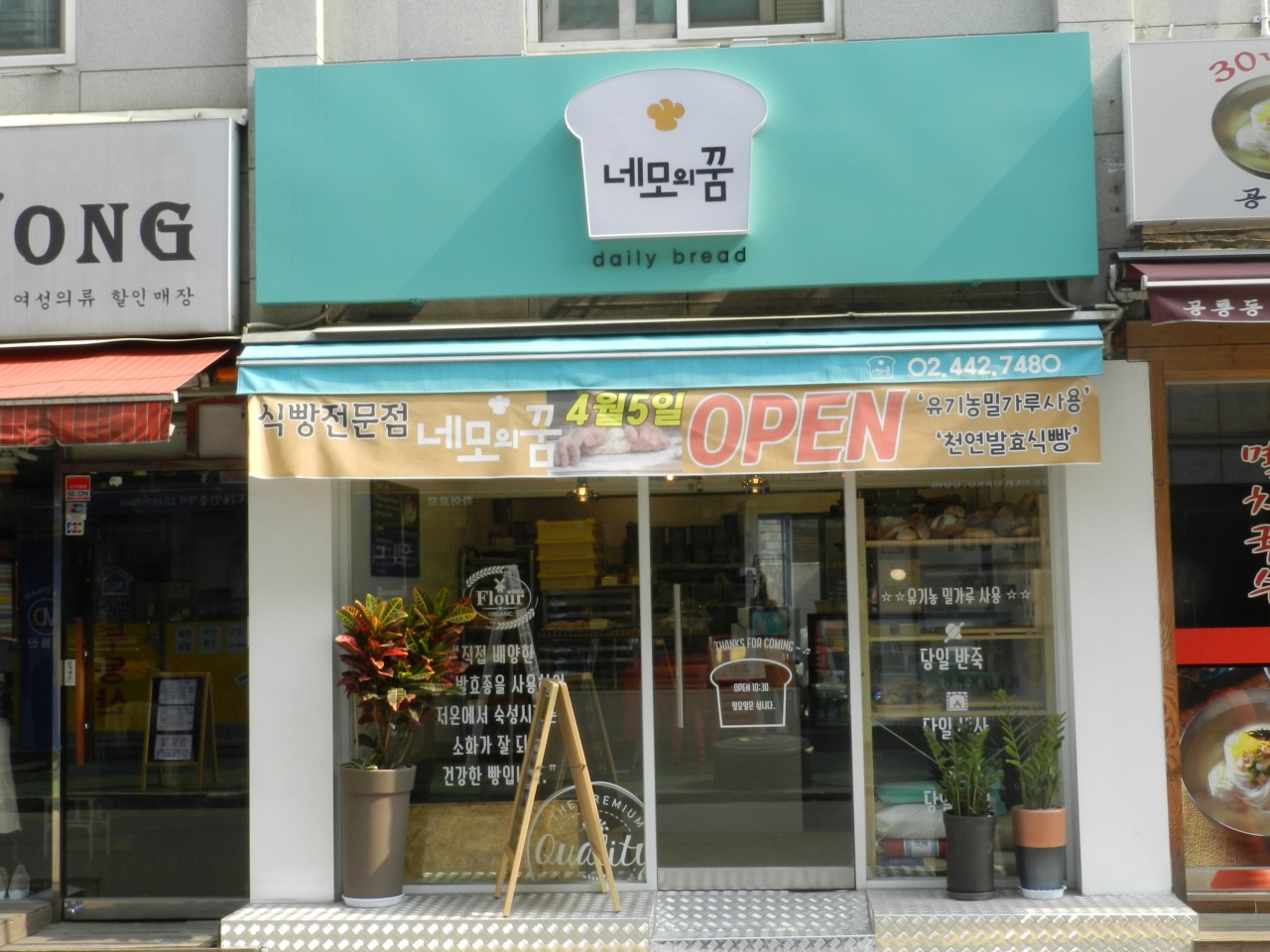 메인 이미지