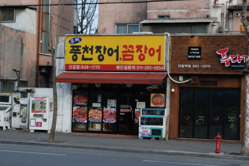 메인 이미지