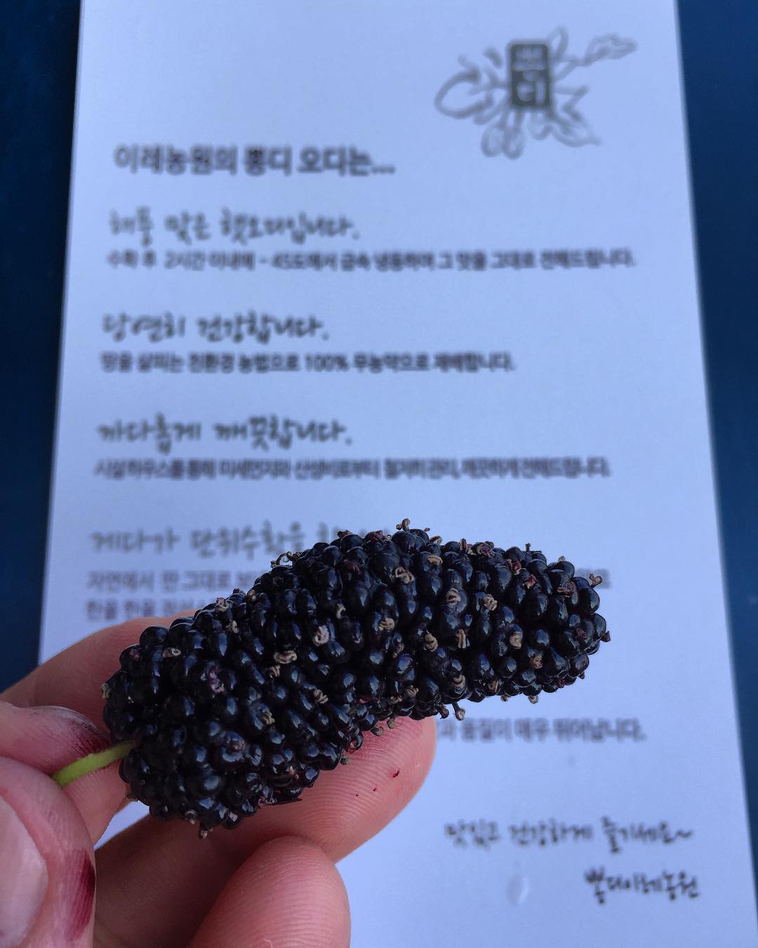 이레농원 - 전북, 부안 | 맛집검색 식신