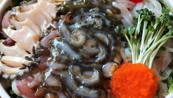 청초수물회 매장 이미지