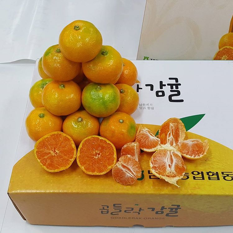 남원농협유통사업소 - 제주, 남원 표선 성읍 | 맛집검색 식신