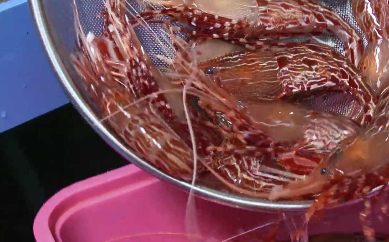 출처 : 외식하는날 5화