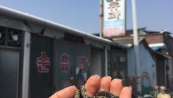 순창전통유과 매장 이미지