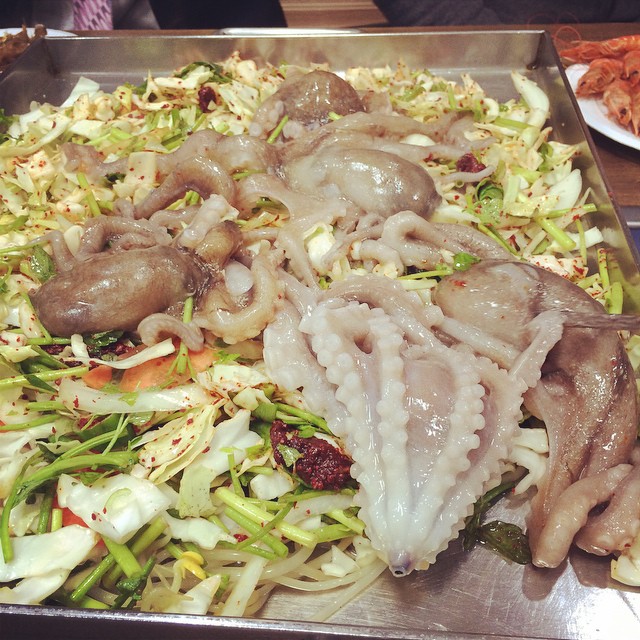 백년낙지마당 - 인천, 남동구 구월동 논현동 | 맛집검색 식신