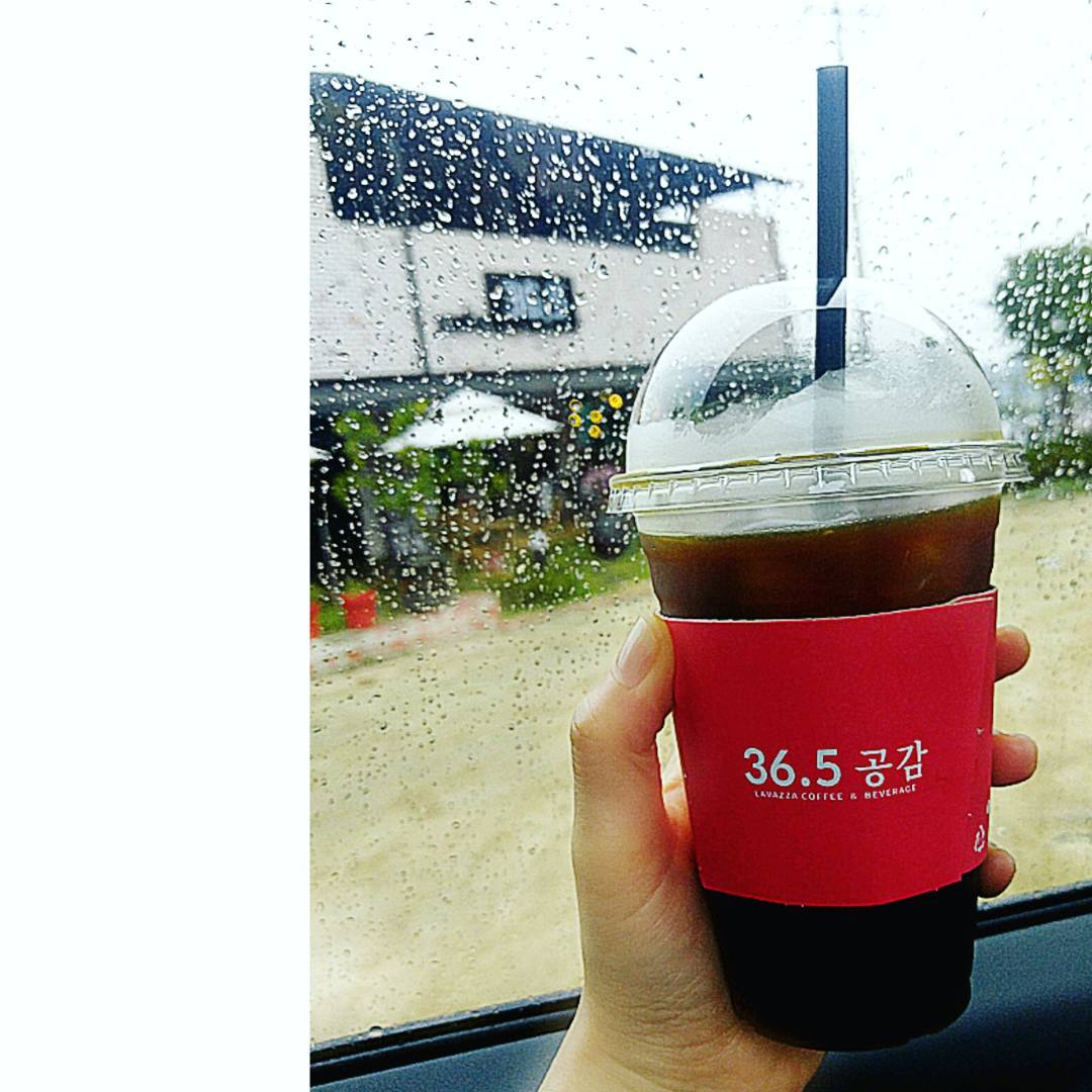 36.5공감 - 충북, 청주-오송 | 맛집검색 식신