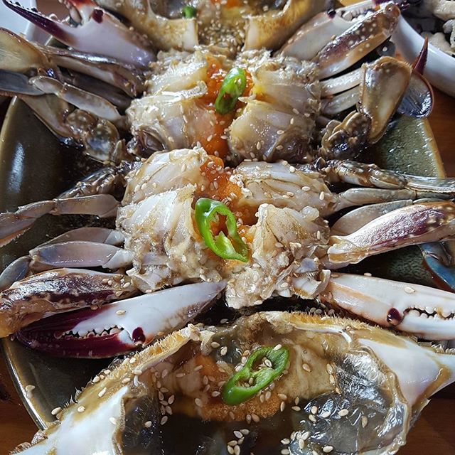 윤숙이네손칼국수 - 경기, 대부도 제부도 영흥도 | 맛집검색 식신