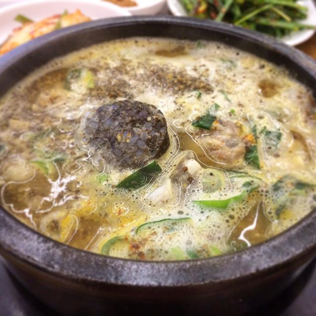 출처 : youndol80님 인스타그램