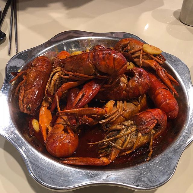 출처 : yeong_kang님 인스타그램