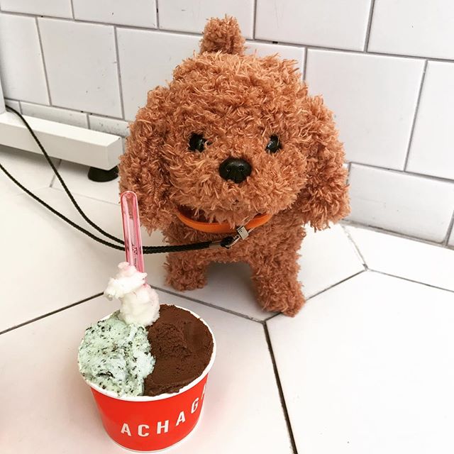 출처 : delight_gyeong님 인스타그램