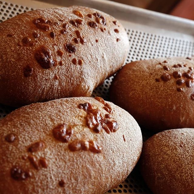 출처 : osalfafa님 인스타그램