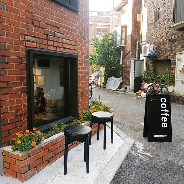 코드카멜레온 이미지