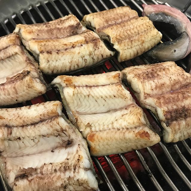 출처 : solbangul_nee님 인스타그램