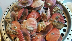 계림새우나라 매장 이미지