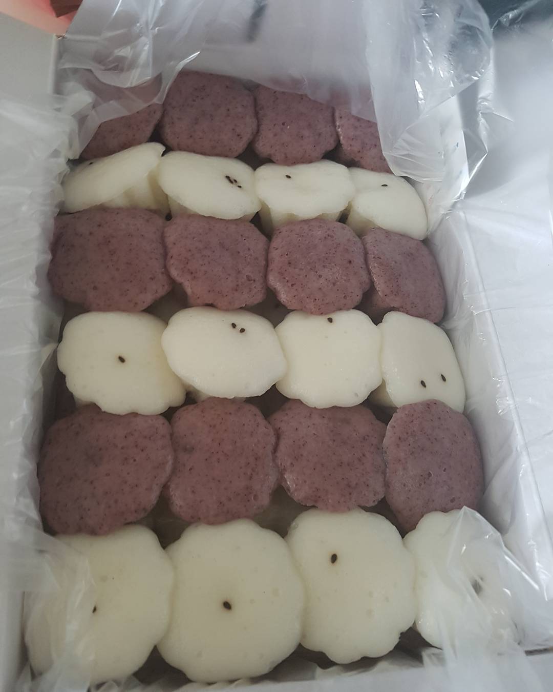 서브1