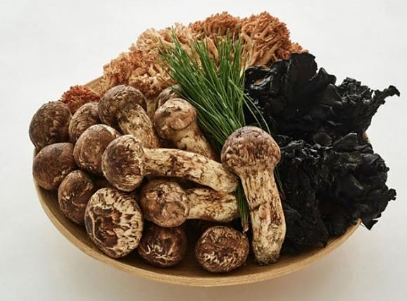 서브2