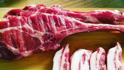 신도세기 매장 이미지