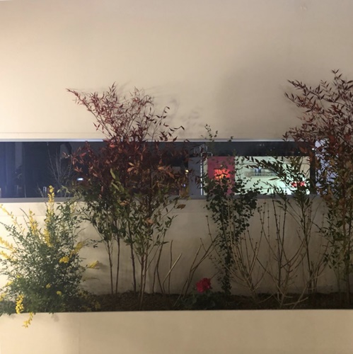 place_img