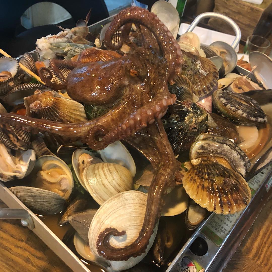 서브1