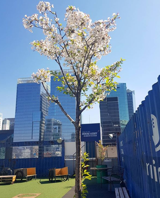 출처 : 마이크임팩트 스퀘어 공식 인스타그램