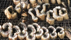 금단양만 매장 이미지