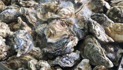 화양원조굴구이 매장 이미지