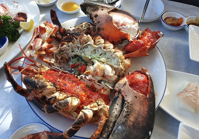 서브1