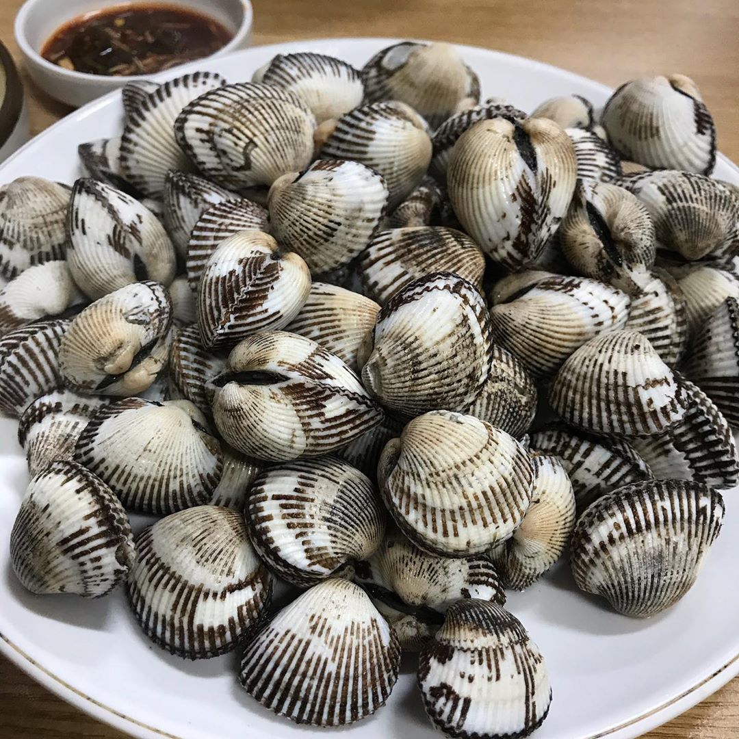 서브2