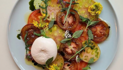 띠엘로 매장 이미지