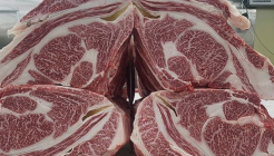 우화 매장 이미지