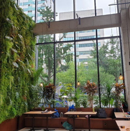 아이뽀유 , 서울특별시 강남구 도산대로 153 