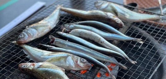 동명항오징어난전